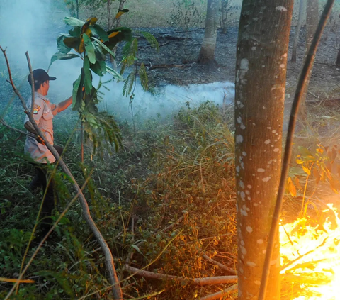 Petugas keamanan berjubaku melakukan pemadamam api yang membakar lahan hutan kota di kawasan perumahan Batan Indah, Tangerang Selatan, Banten, Senin (09/10/2023).