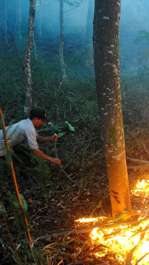 Petugas keamanan saat berusaha memadamkam api di lahan hutan kota di kawasan perumahan Batan Indah, Tangerang Selatan.