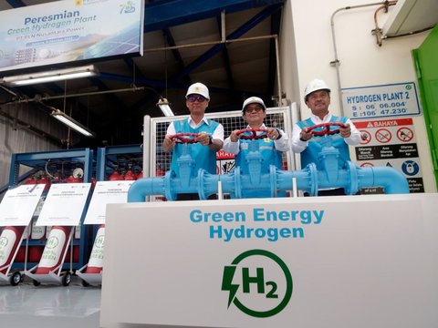 Plant Pertama di Indonesia, Kementerian ESDM: PLN Miliki Cara Paling Cepat Hasilkan Green Hydrogen