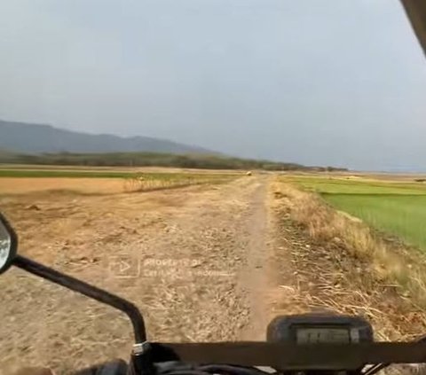 Melihat Peradaban Jalur Kuno yang Terendam Waduk Gajah Mungkur, Dulunya Rute Gerilya Jenderal Soedirman