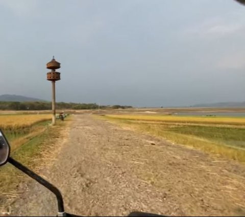 Melihat Peradaban Jalur Kuno yang Terendam Waduk Gajah Mungkur, Dulunya Rute Gerilya Jenderal Soedirman