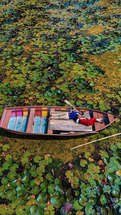 2. Biofuel dari Eceng Gondok<br>“Eceng gondok, sumber potensial untuk energi terbarukan.”