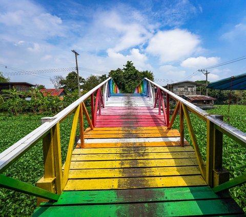 Eceng Gondok, Tanaman Ajaib dengan Manfaat Tersembunyi