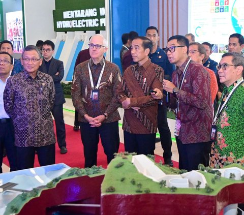 Dirut PLN Paparkan Pengembangan Hydropower di Tanah Air kepada Jokowi