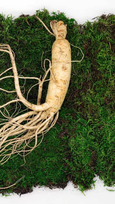 3. Ginseng Asia