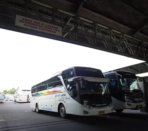 Sinar Jaya Group merupakan salah satu perusahaan transportasi terbesar di Indonesia yang mengoperasikan bus Antar Kota Antar Provinsi (AKAP) hingga Pariwisata.