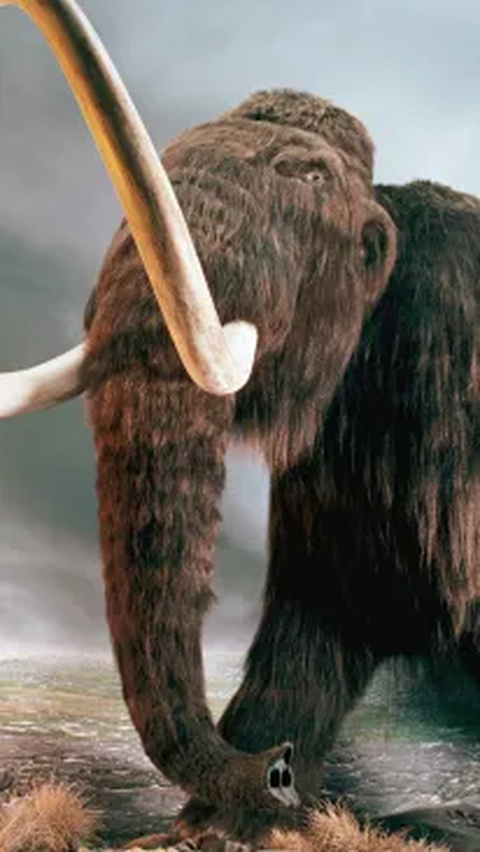 Ikut Mancing di Sungai dengan Ayahnya, Bocah 8 Tahun Temukan Tulang Mammoth Berusia 100.000 Tahun<br>