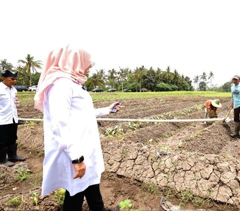 Pantau Lahan Pertanian, Bupati Ipuk Cek Ketersediaan Air