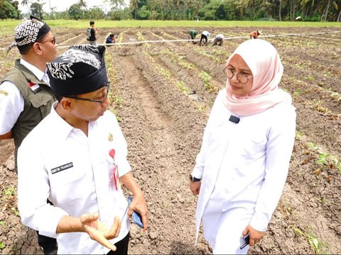 Pantau Lahan Pertanian, Bupati Ipuk Cek Ketersediaan Air