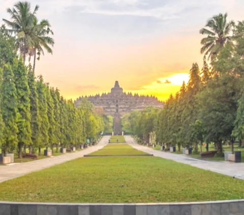 BUMN Perhutani & BPOB Kolaborasi Kembangkan Wisata Alam di Borobudur