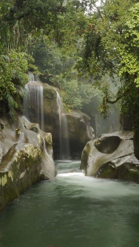 Mengunjungi Desa Wisata Nyarai di Padang Pariaman, Ada Air Terjun hingga Kawasan Konservasi Hutan<br>