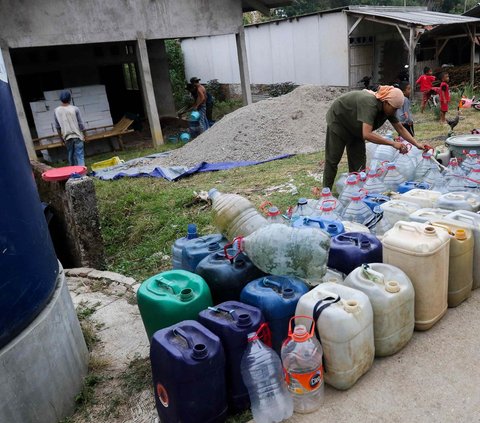 FOTO: Potret Dampak Kemarau Panjang di Kabupaten Bekasi, Sawah Kering Kerontang hingga Warga Berebut Air