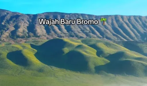 Bromo Kembali Menghijau