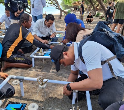 Revitalisasi Terumbu Karang di Banyuwangi Jadi Salah Satu Aksi TJSL PNM