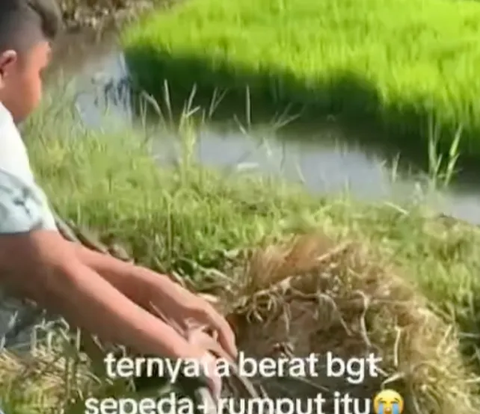 Moments of Beautiful Women Falling into the Paddy Field Due to Bringing a Bicycle
