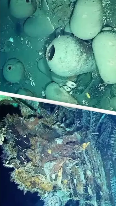 $20 Billion Treasure Found In Shipwreck In Caribbean Sea | Trstdly ...