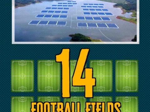 Luasnya Setara 14 Lapangan Sepak Bola, Ini Potret Solar Farm Terbesar di Asia Tenggara yang Ada di Indonesia