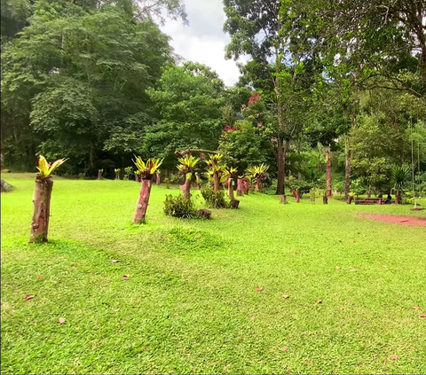 Ada Tempat Super Sejuk yang Bikin Tenang di Sukabumi, Rumputnya Hijau dengan Pemandangan Menakjubkan