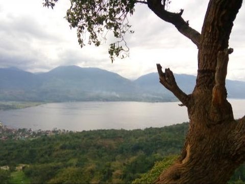 Jadi Danau Terbesar Kedua di Sumatra, Ini Asal-usul Terbentuknya Danau Singkarak