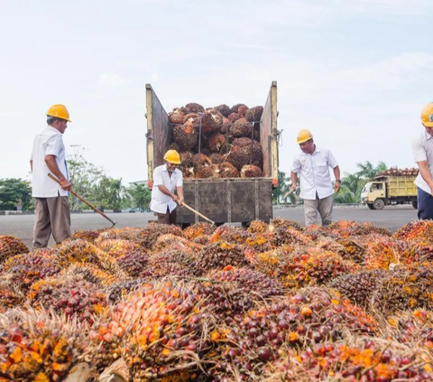 Begini Strategi Holding PTPN III Terapkan Bisnis Ramah Lingkungan untuk Tanggulangi Perubahan Iklim