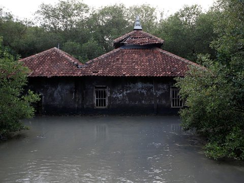 Tanah di Kota Semarang Turun 7-13 Cm per Tahun, Ini Penyebabnya