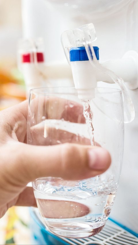 Ramai Kabar Galon Air Mengandung BPA, Apakah Berbahaya?