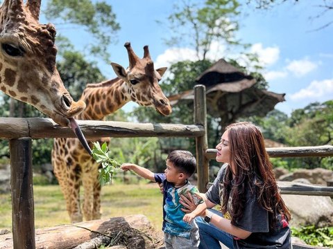 Baru Saja Dilamar Pacarnya, Ini Potret Kebersamaan Nathalie Holscher bersama Sang Pacar dan Anaknya