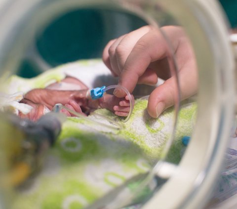 Sad, 7 Premature Babies Die After Gaza Hospital Runs Out of Fuel
