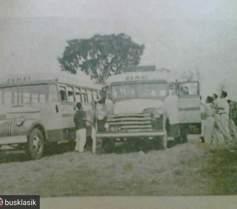 10 Potret Bus Jadul Damri, Desainnya Klasik Banget Tapi Simpan Banyak Kenangan