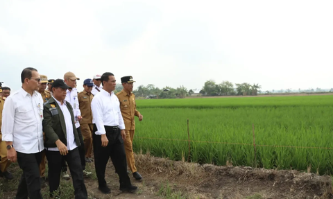 Mentan Amran Libatkan Anak Muda dan Penyuluh untuk Optimalkan Lahan Rawa