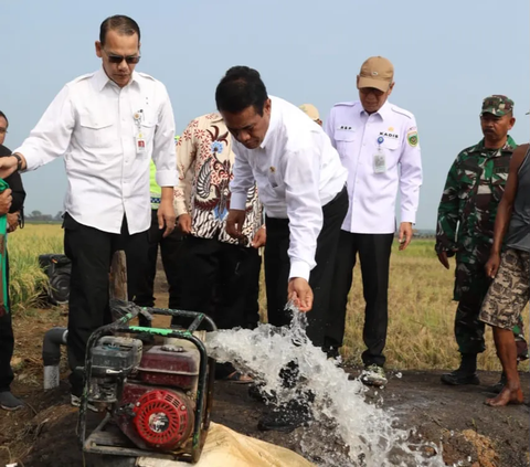 Mentan Amran Libatkan Anak Muda dan Penyuluh untuk Optimalkan Lahan Rawa