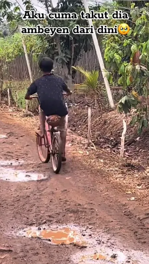 Sad Moment of a Child Riding an Old Bicycle, Dried Coconut Forced to Be a Replacement for the Saddle