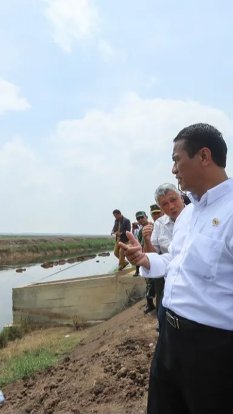 Mentan Targetkan Optimasi Lahan Rawa Naikkan Indeks Pertanaman di Kabupaten Ogan Ilir