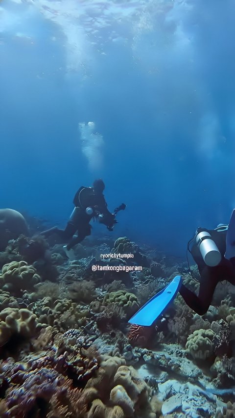 Shocking! Video of the Moment a Diver is Hit by a 7.2 Magnitude Earthquake at the Bottom of the Banda Sea, Surprising Change in the Water.