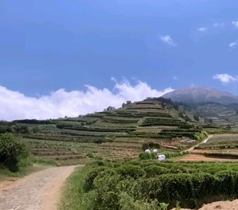 Berwisata ke Blumbang Roto, Hidden Gem di Lereng Gunung Sumbing yang Belum Banyak Diketahui