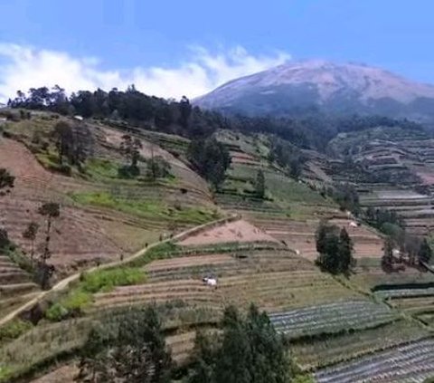 Berwisata ke Blumbang Roto, Hidden Gem di Lereng Gunung Sumbing yang Belum Banyak Diketahui