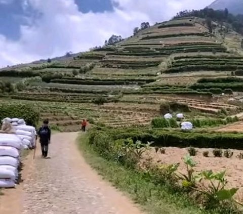 Berwisata ke Blumbang Roto, Hidden Gem di Lereng Gunung Sumbing yang Belum Banyak Diketahui