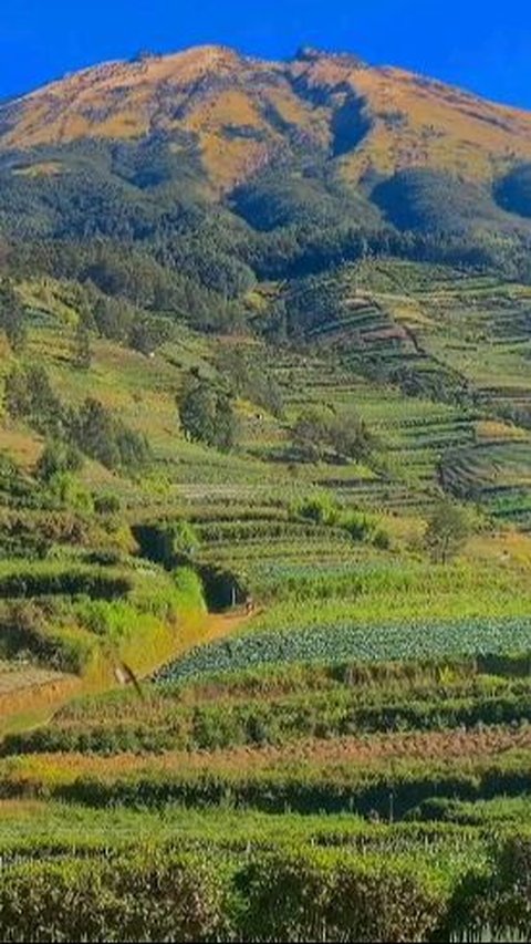 Berwisata ke Blumbang Roto, Hidden Gem di Lereng Gunung Sumbing yang Belum Banyak Diketahui