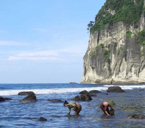 Pulang Kampung ke Pacitan, Intip Momen Keseruan SBY Melukis di Pantai