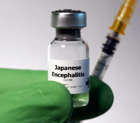 Mengenal Japanese Encephalitis, Penyakit Berbahaya Akibat Gigitan Nyamuk