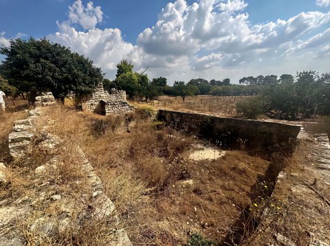 Cerita Sedih Arkeolog Israel Gali Desa Palestina yang Rata dengan Tanah Saat Peristiwa Nakba 1948