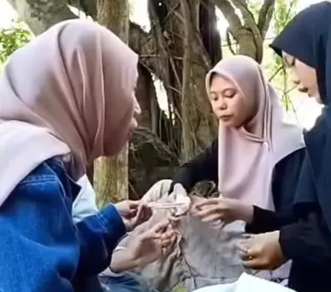 Lagi Asyik Makan-makan di Bawah Pohon, Para Remaja Ini Malah Diserang Ular Kobra