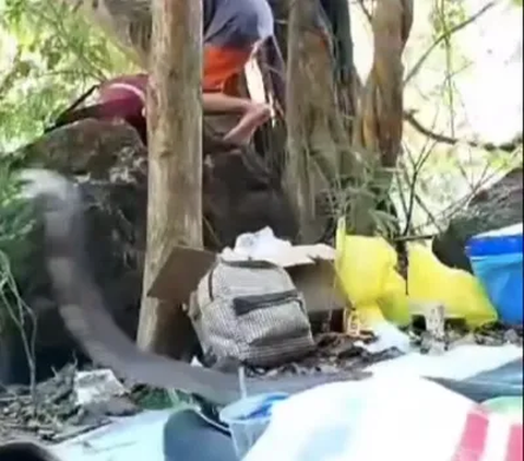 Lagi Asyik Makan-makan di Bawah Pohon, Para Remaja Ini Malah Diserang Ular Kobra