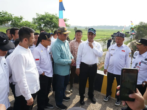 Mentan Amran Dongkrak Produksi di Kalsel dengan Optimasi Lahan Rawa