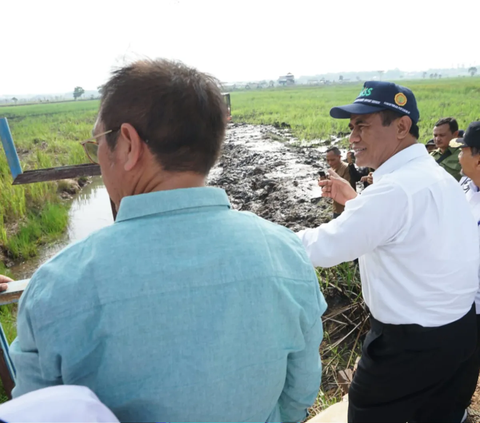 Mentan Amran Dongkrak Produksi di Kalsel dengan Optimasi Lahan Rawa