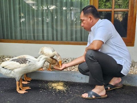 Jenderal TNI Agus Subiyanto Bersama Tiga Angsa dan Lambang Cinta