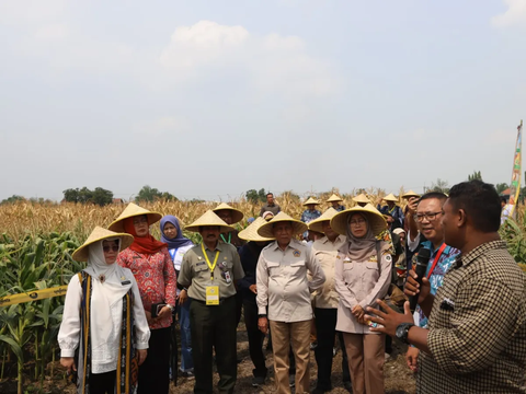 Kementan Tingkatkan Kemudahan Usaha Bagi Investor Pertanian