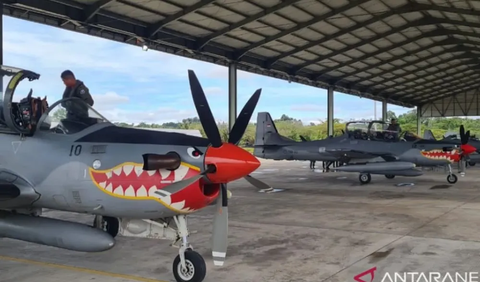 EMB-314 Super Tucano terdiri dari dua versi, tipe A-29ALX (kursi tunggal) dan AT-29B (kursi ganda).<br>