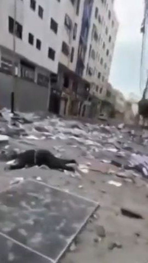 Video Mengerikan di Gaza, Mayat-Mayat Korban Serangan Israel Masih Tergeletak di Jalanan, Tak Ada yang Menguburkan