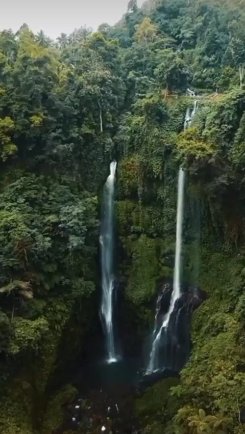 Viral Wisatawan di Bali Kena Scam Tiket Masuk Air Terjun Sekumpul Rp300 Ribu